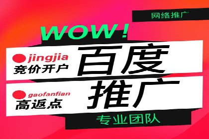SEM代理案例：揭秘成功背后的秘密